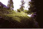 Banquette_Tamier.gif - 3.64 K